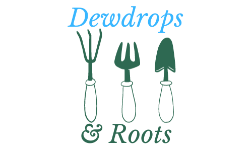 Dewdrops and Roots