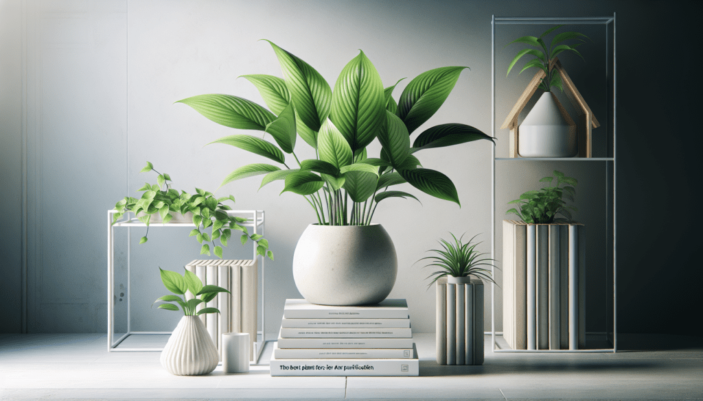 The Best Plants For Air Purification Indoors